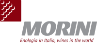 Morini